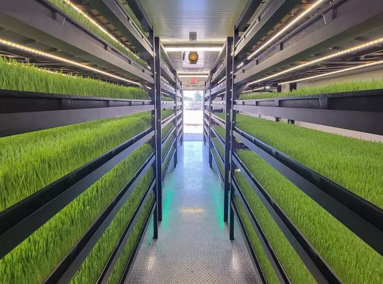 FarmBox Foods launches indoor farm that grows livestock feed