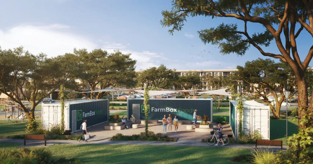 The Factors Behind the Surge in Urban Farming
