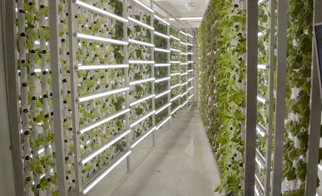 Projected Water Scarcity Prompts Need for Farming Ingenuity
